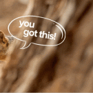 Decorative Image of a squirrel with the caption "You got this!"